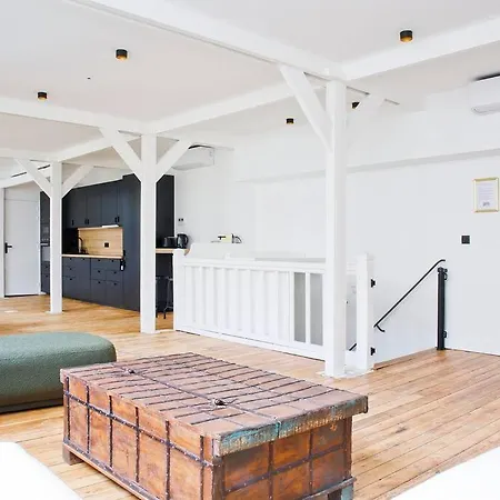 Sublime Loft A St Germain Apartament